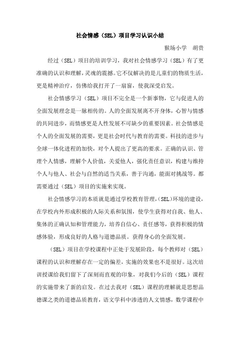 社会情感(SEL)项目学习认识小结