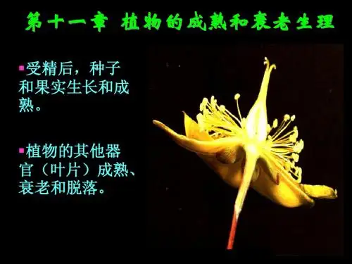 植物的成熟和衰老生理
