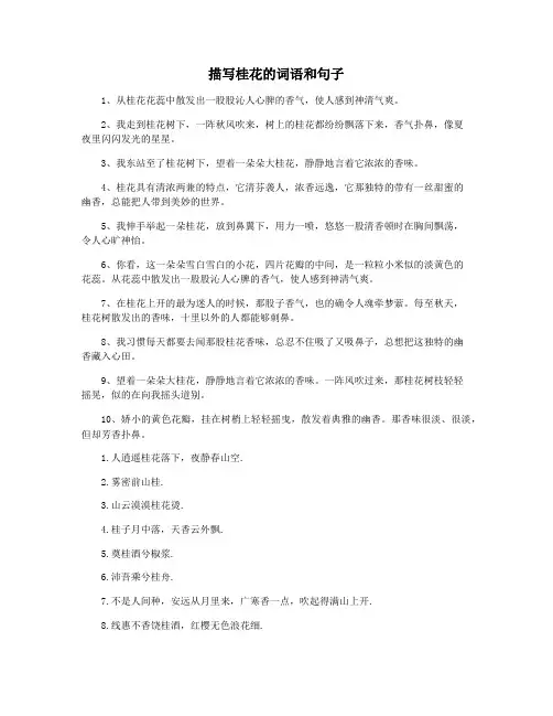 描写桂花的词语和句子