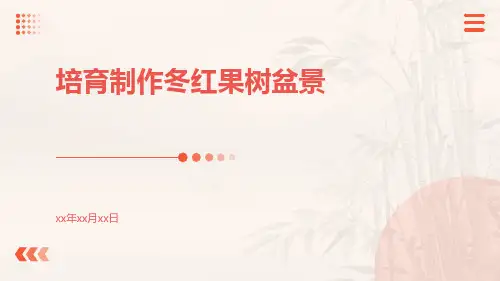 培育制作冬红果树盆景