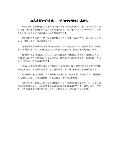 双高多层砂岩油藏二三结合精细调整技术研究