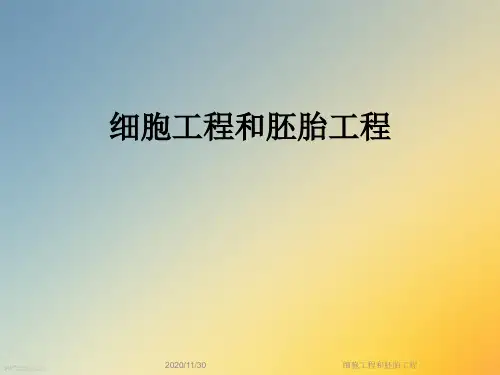 细胞工程和胚胎工程