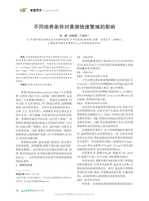 不同培养条件对黄檗快速繁殖的影响