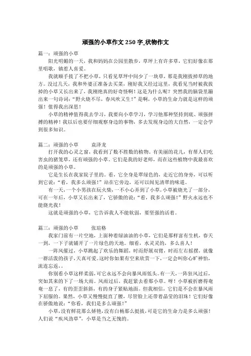 顽强的小草作文250字_状物作文