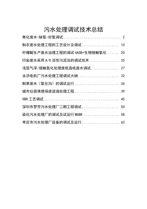 污水处理调试技术经验之总结