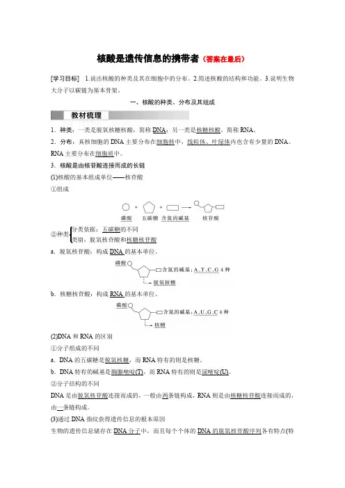 高中生物(必修第一册 人教版)讲义教案：核酸是遗传信息的携带者(含答案)