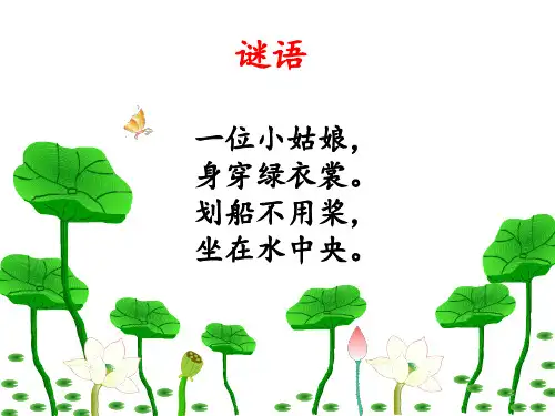 一年级下册13《荷叶圆圆》人教部编版实用PPT(共30张PPT)