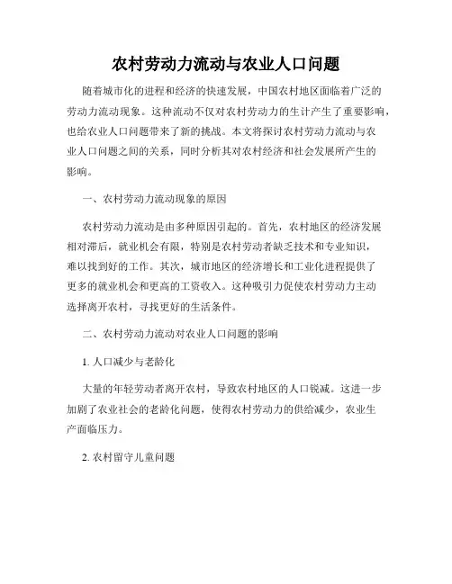 农村劳动力流动与农业人口问题
