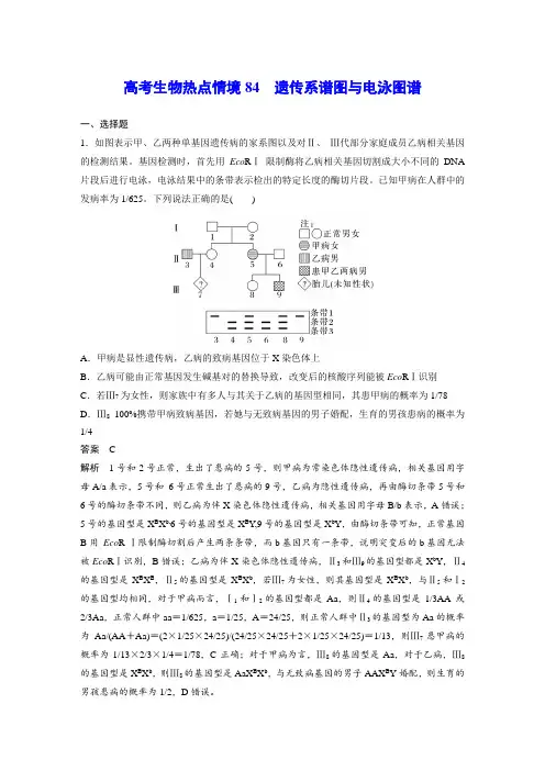 高考生物热点情境84 遗传系谱图与电泳图谱