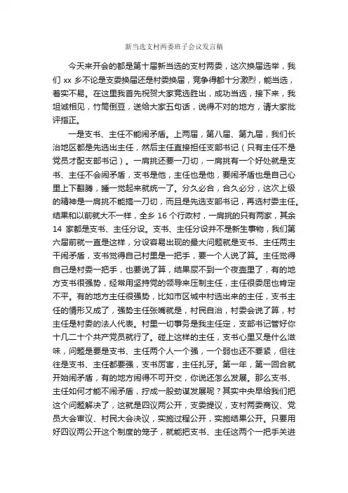新当选支村两委班子会议发言稿_会议发言稿_