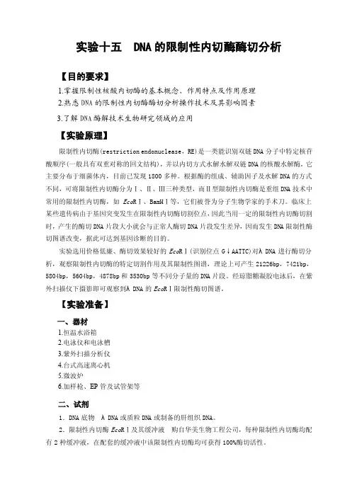 生物化学--实验十五DNA的限制性内切酶酶切分析