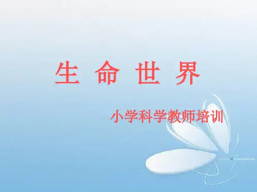 生命世界