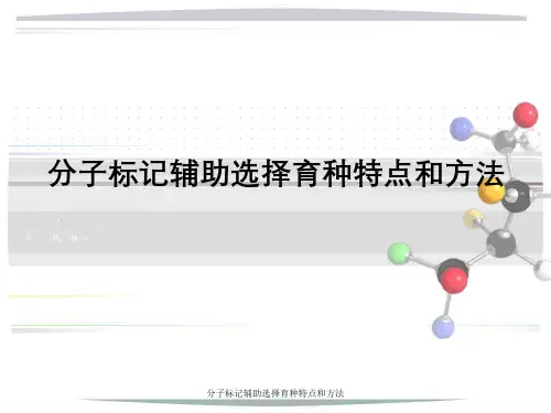 分子标记辅助选择育种特点与方法