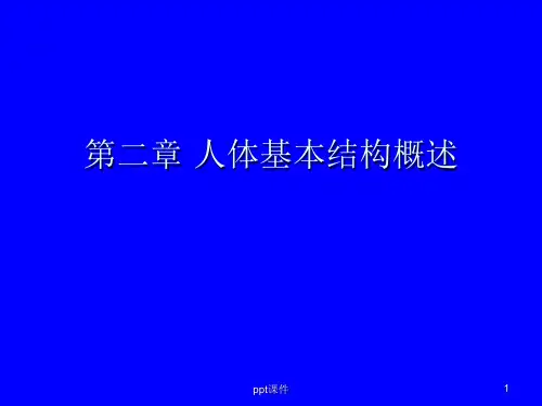 人体解剖生理学 人体基本结构概述 PPT课件