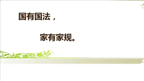 部编版道德与法治《感受生活中的法律》ppt课件1