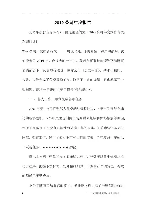 2019公司年度报告