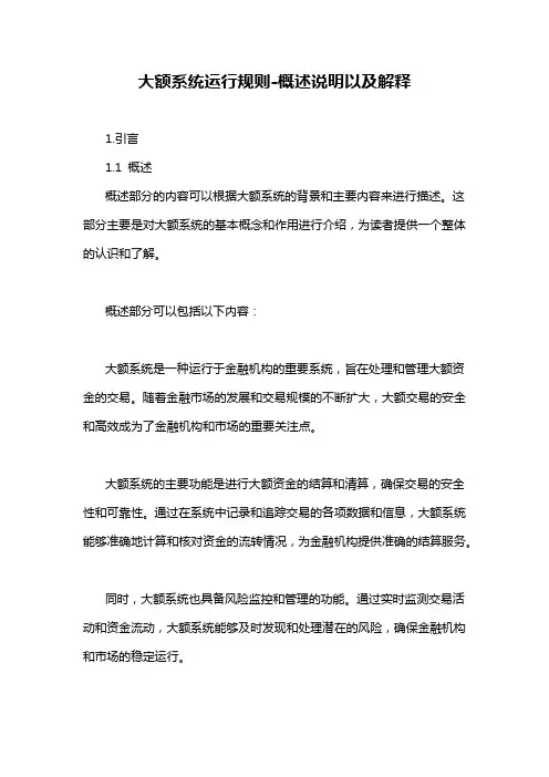 大额系统运行规则-概述说明以及解释