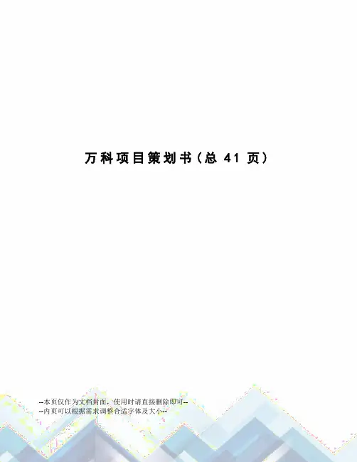 万科项目策划书