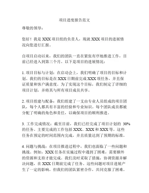 项目进度报告范文