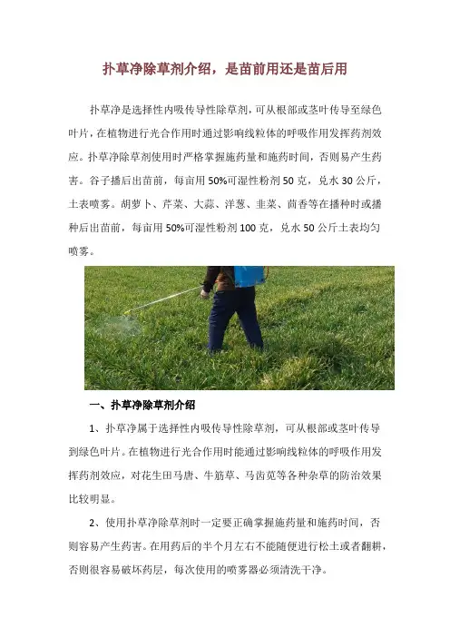 扑草净除草剂介绍,是苗前用还是苗后用