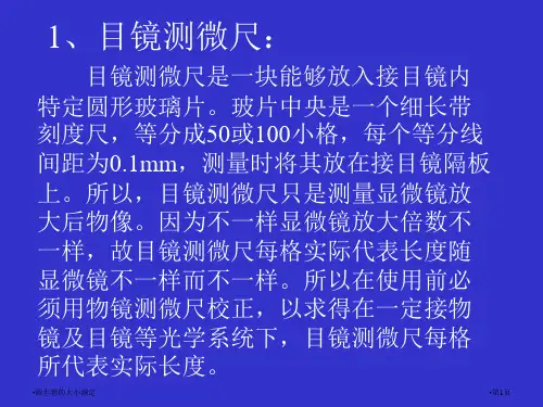 微生物的大小测定