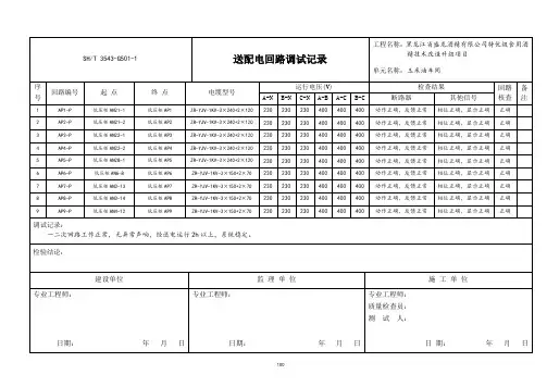 送配电回路调试记录表