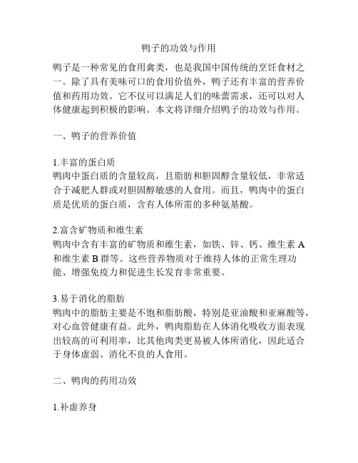鸭子的功效与作用