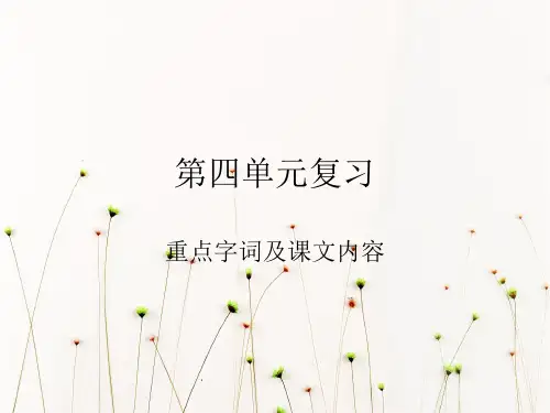 人教版四年级上册语文第四单元字词句以及课文内容复习