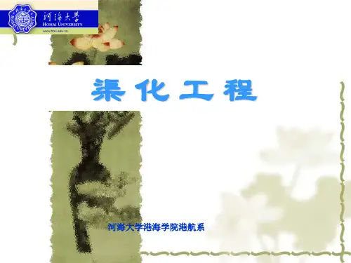 船闸第一章、第二章绪论和渠化枢纽规划(2学时)201452素材