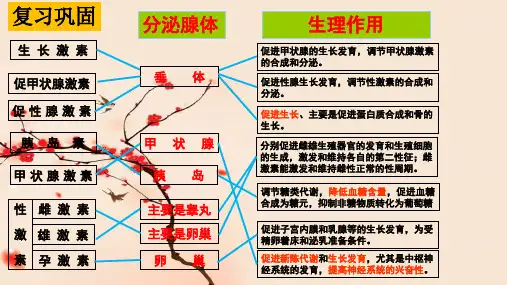 3 .2 激素调节的过程【新教材】新人教版(2020)高中生物选择性必修一课件(共53张PPT)