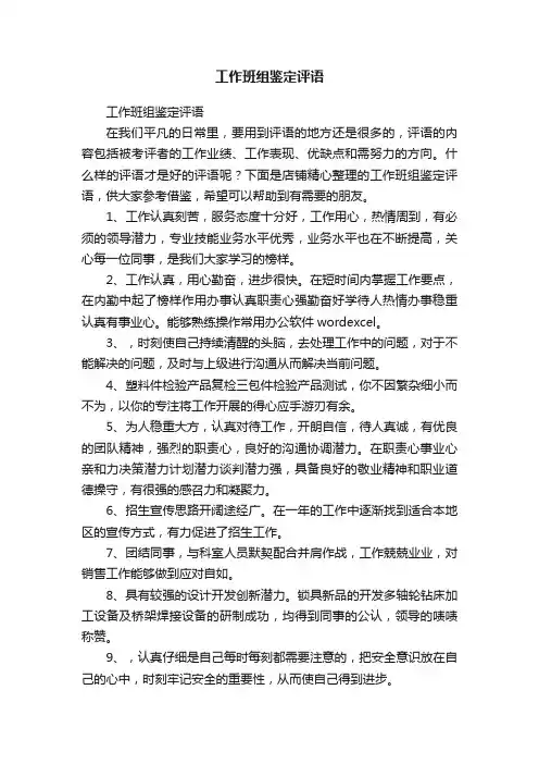 工作班组鉴定评语