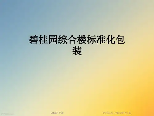 碧桂园综合楼标准化包装
