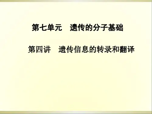 高中生物 第七单元 第四讲 遗传信息的转录和翻译课件
