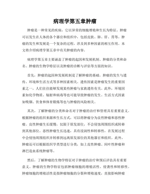 病理学第五章肿瘤