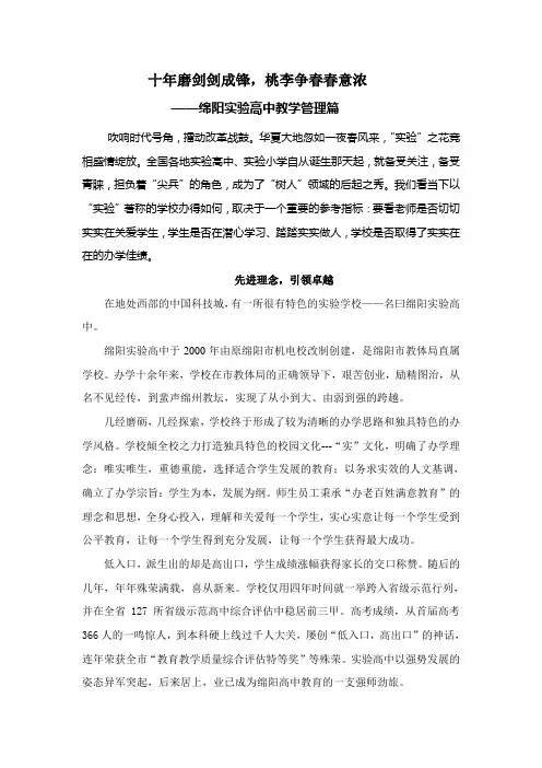 十年磨剑剑成锋2