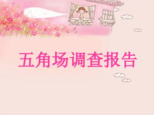 五角场调查报告.