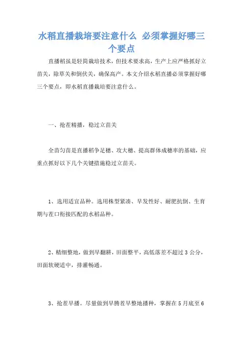 水稻直播栽培要注意什么 必须掌握好哪三个要点