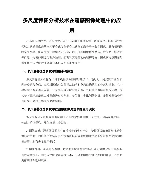 多尺度特征分析技术在遥感图像处理中的应用