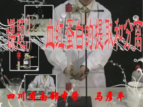 血红蛋白的提取与分离(上课用)
