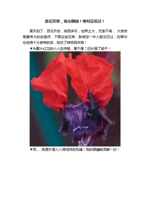 奇花异草，看完倾倒！绝对没见过！