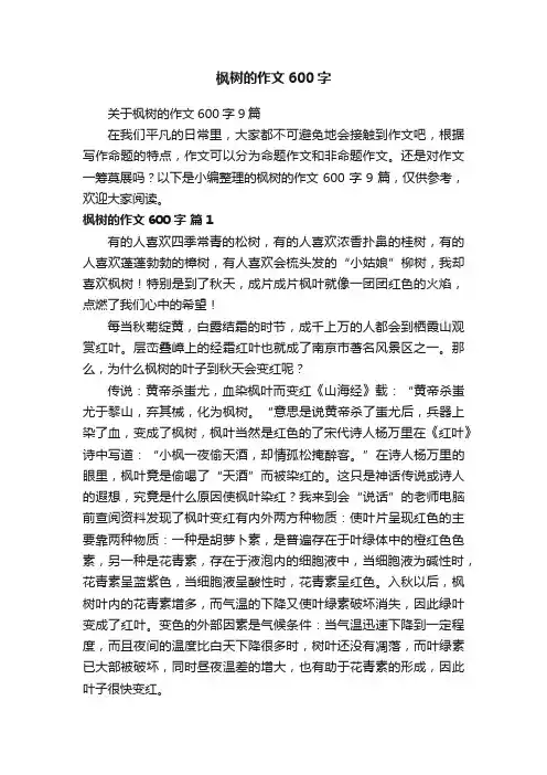 关于枫树的作文600字9篇