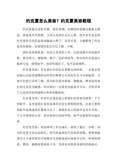 约克夏怎么美容？约克夏美容教程