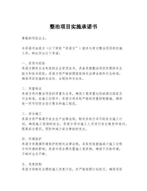 整治项目实施承诺书