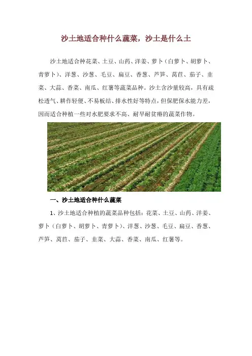 沙土地适合种什么蔬菜,沙土是什么土