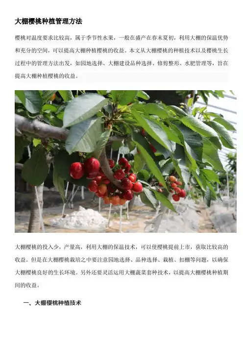 大棚樱桃种植管理方法