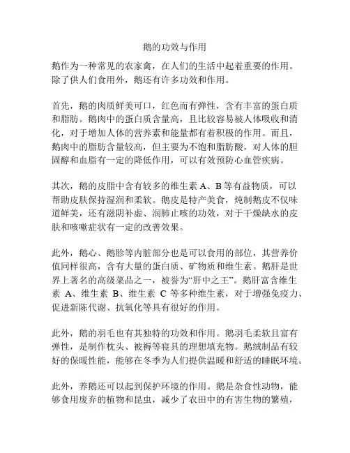 鹅的功效与作用