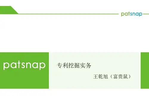 专利挖掘实务资料-富贵鼠
