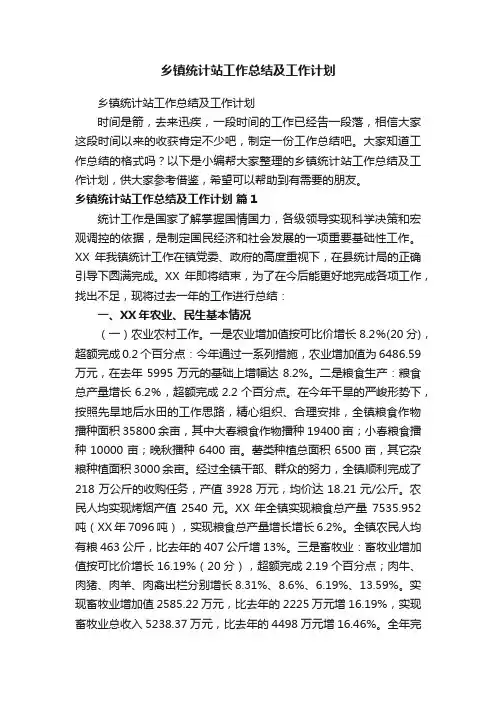 乡镇统计站工作总结及工作计划