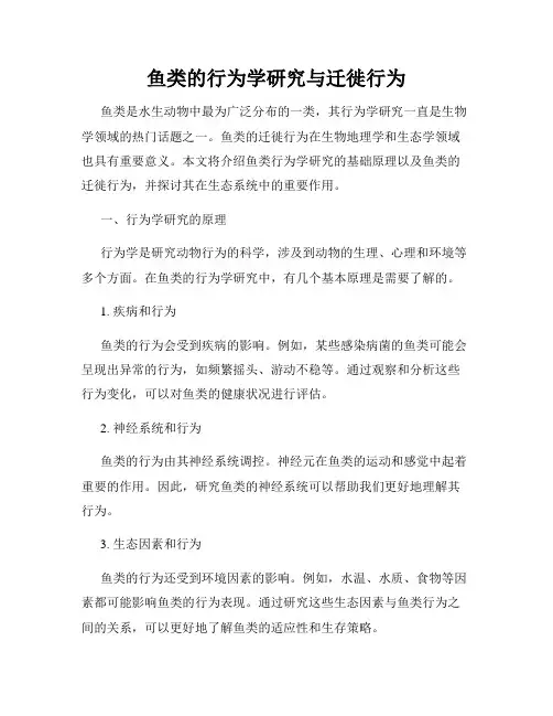 鱼类的行为学研究与迁徙行为