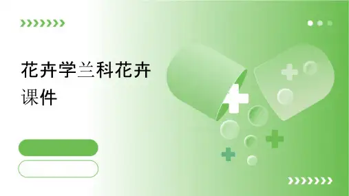 花卉学兰科花卉课件
